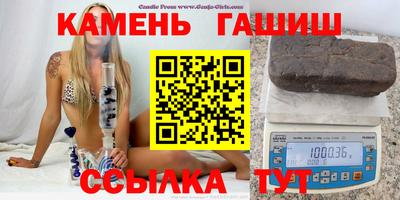 сатива Аргун