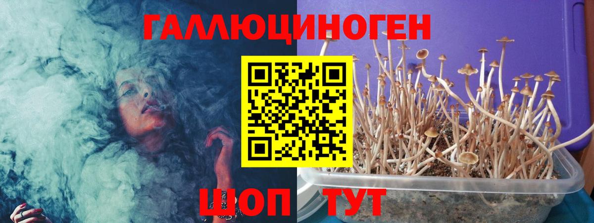Великий Устюг  Галлюциногенные грибы прущие грибы  Вход с VPN 