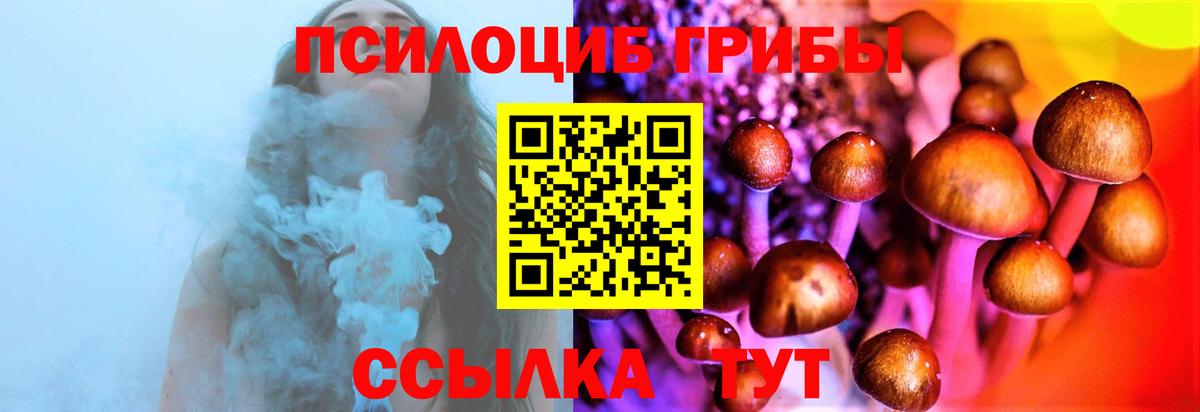 Псилоцибиновые грибы Cubensis Великий Устюг